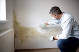 Lexington, VA Mold Remediation Company